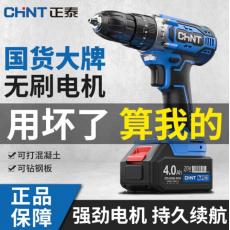 正泰（CHNT） 手电钻充电式锂电钻电动螺丝刀手枪钻多功能家用打孔冲击电转 20V双速带冲击一电